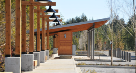 Carolyn Donnelly - Ty Histanis_postal kiosk 4-1